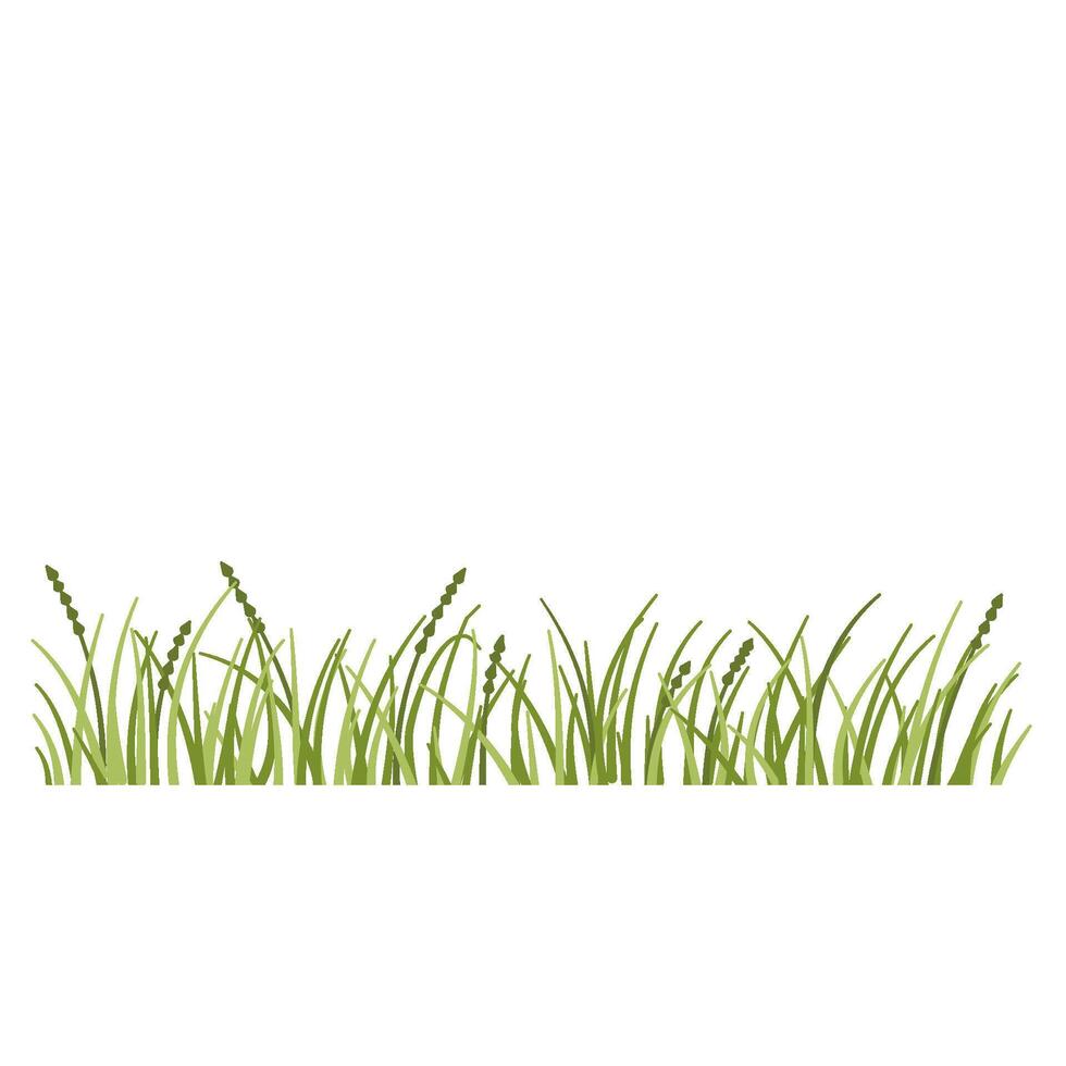 Grass with flower vector