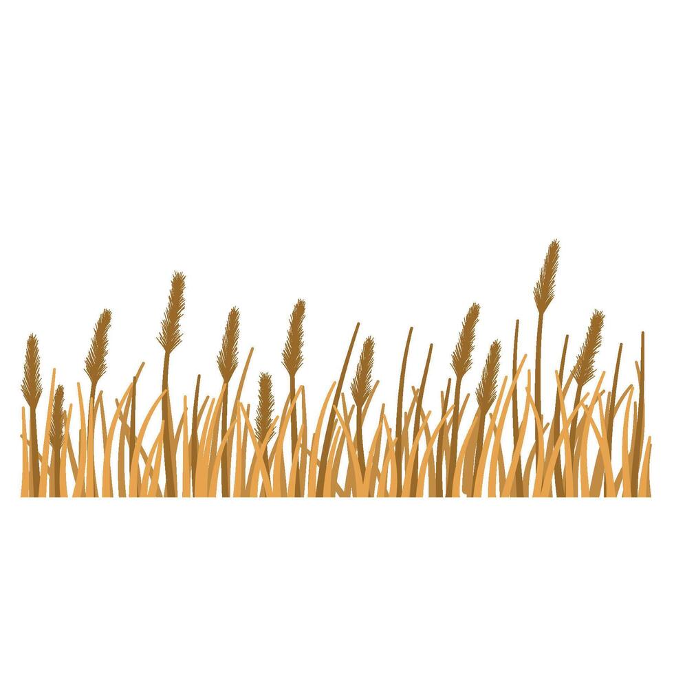 Grass with flower vector