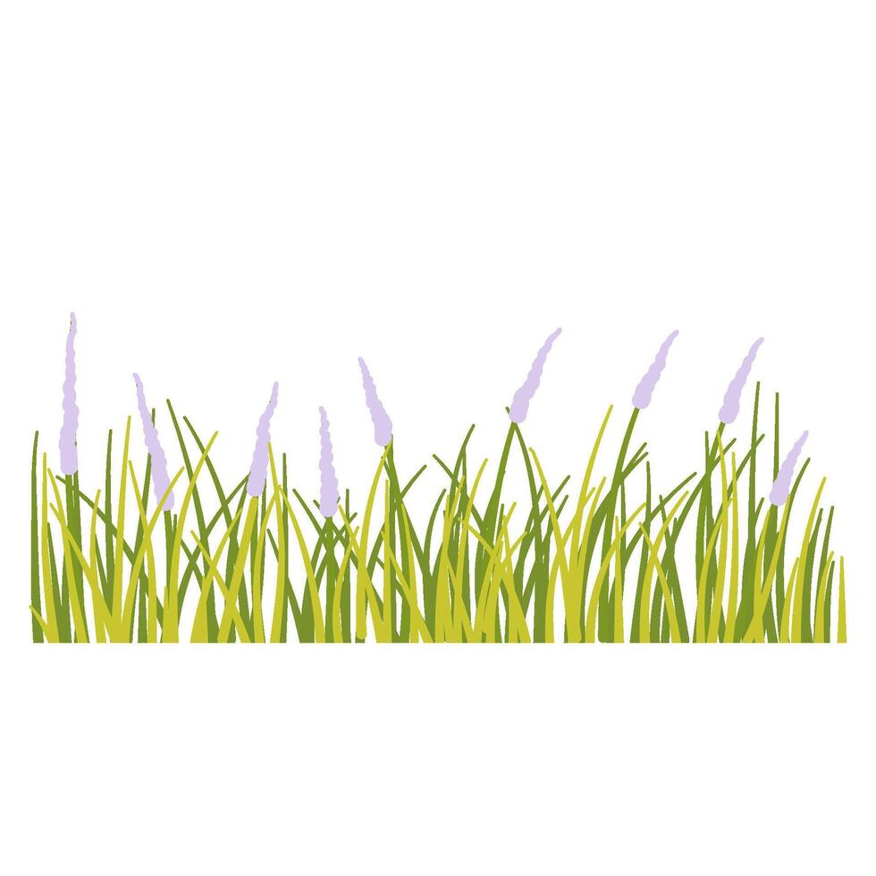 Grass with flower vector