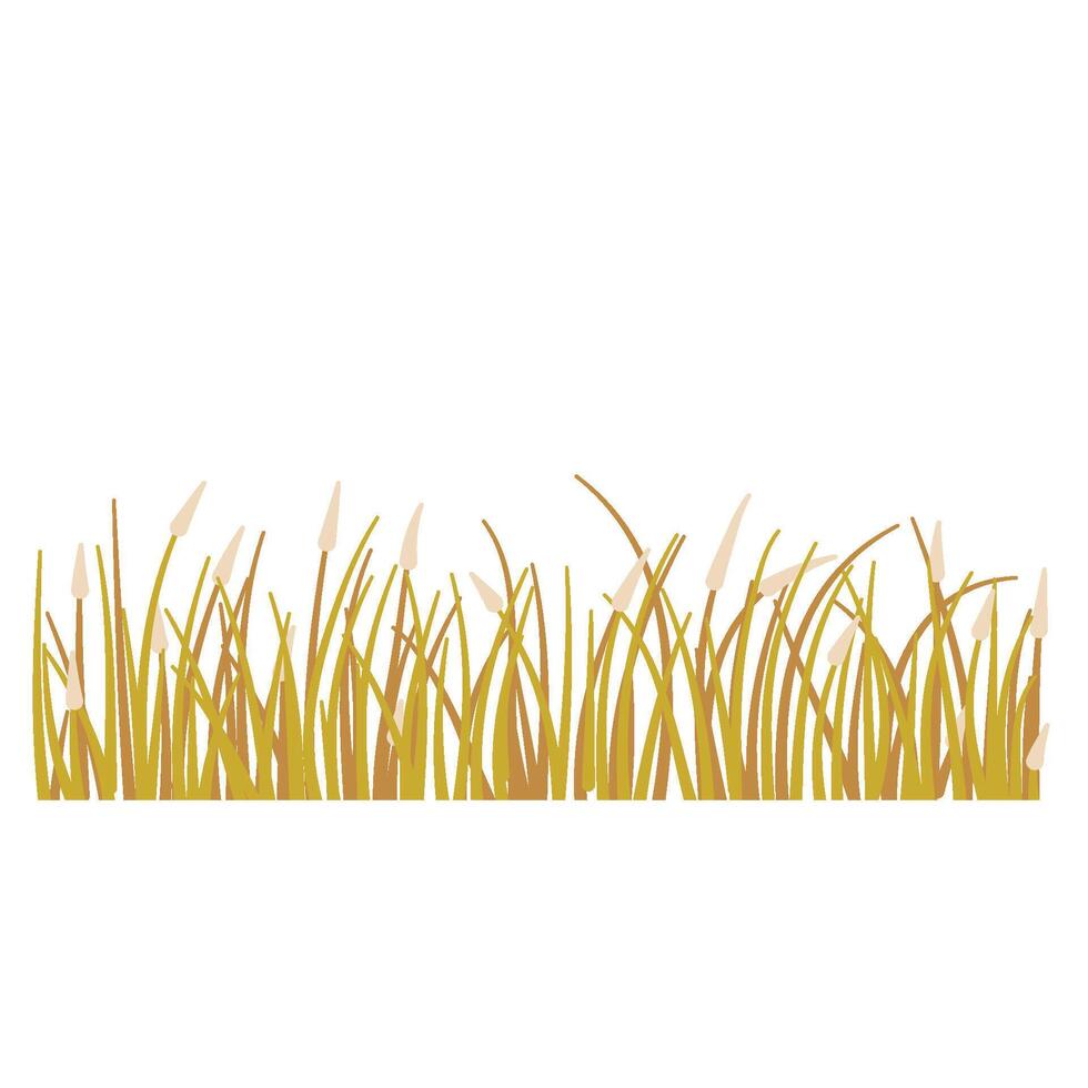 Grass with flower vector