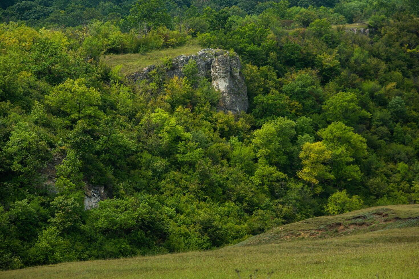landscape and beautiful green nature in the Republic of Moldova, a small friendly country in Eastern Europe. photo