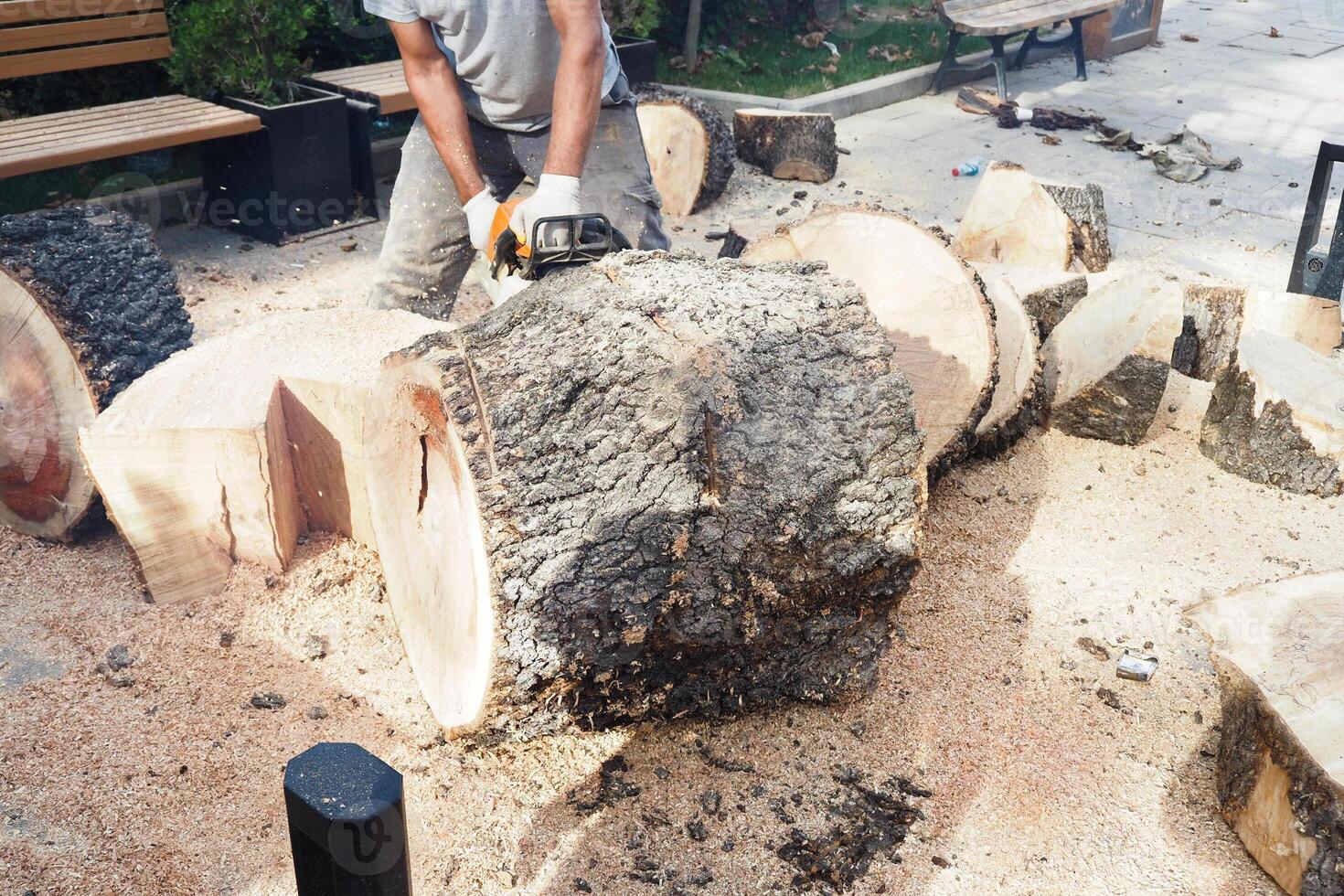 Stack of hardwood logs create a rustic landscape in front of the house photo