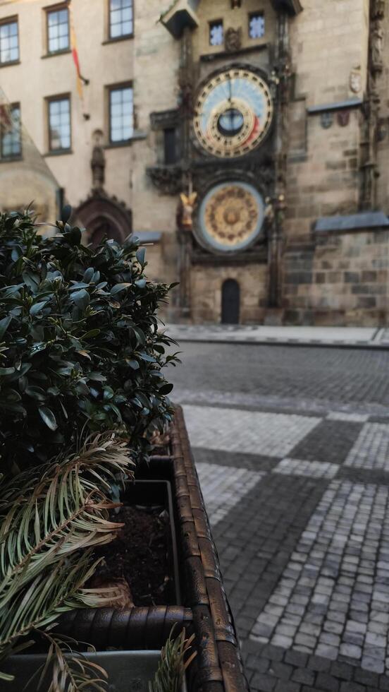 Prague, Czech republic - March 16, 2023. A close-up view of an Astronomical clock tower with a plant in the foreground photo