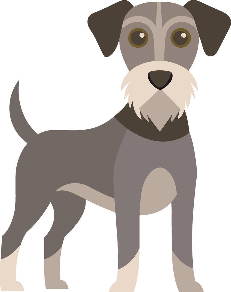 illustration flat design dog pet vector