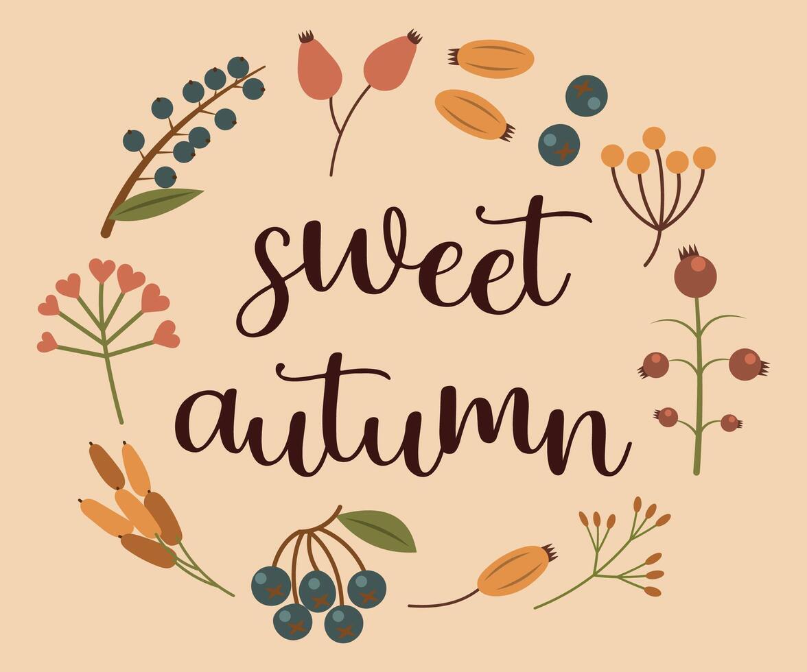 Autumn season hand drawn slogan sweet autumn. Inscription in a wreath of berries. Autumn illustration with cute cosy design elements Flat style vector
