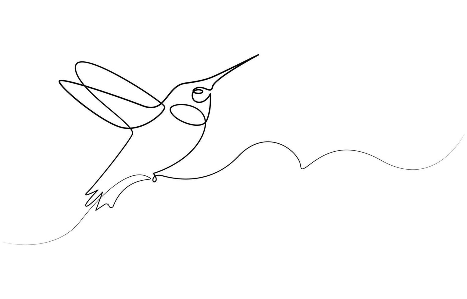Continuous one line drawing of flying hummingbird. One line drawing illustration of colibri. Flying animal concept Single line, Hummingbird one line art design vector