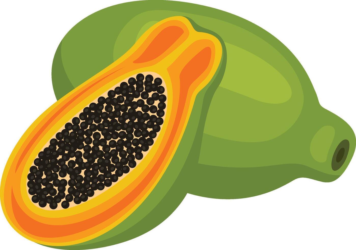 Ripe whole and half papaya vector