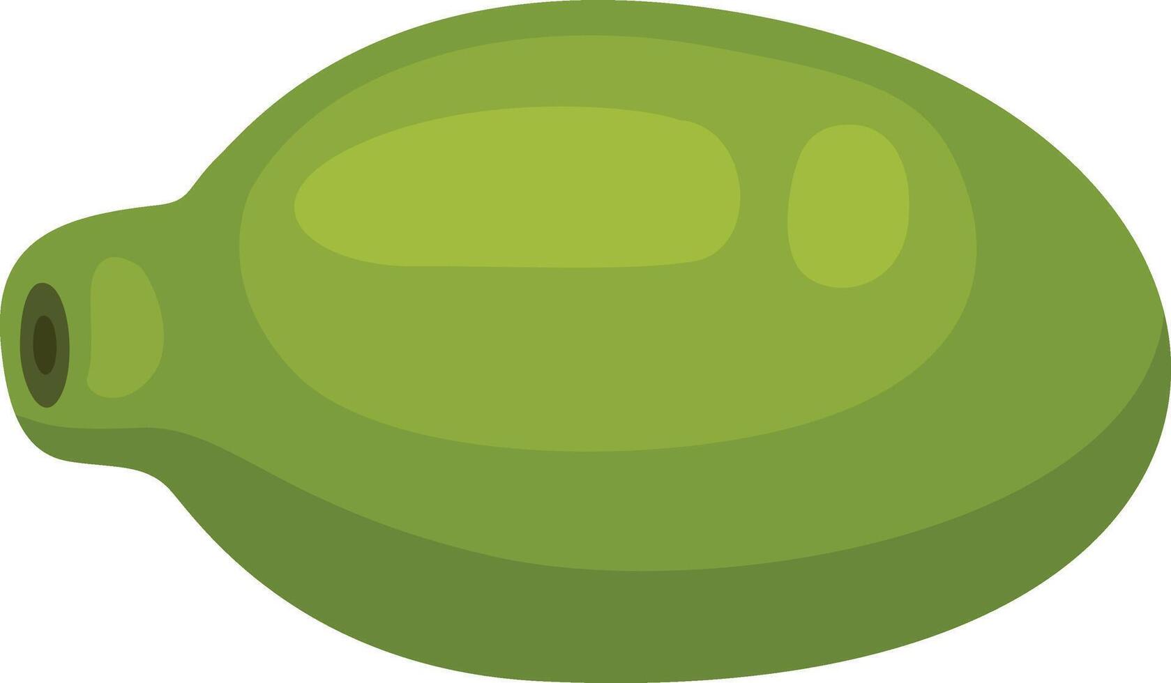 Ripe green papaya isolated on white vector