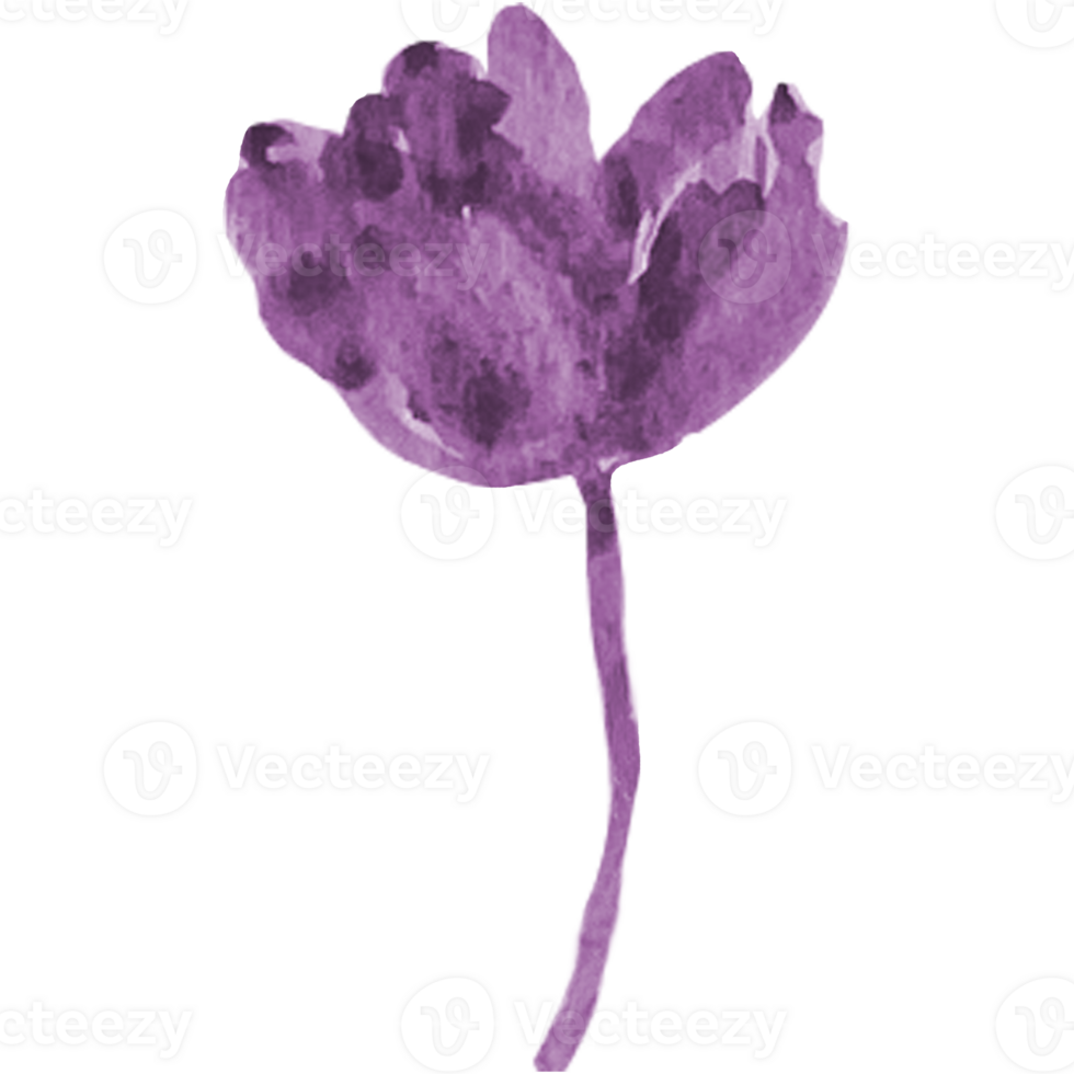 Watercolor abstract flowers. png