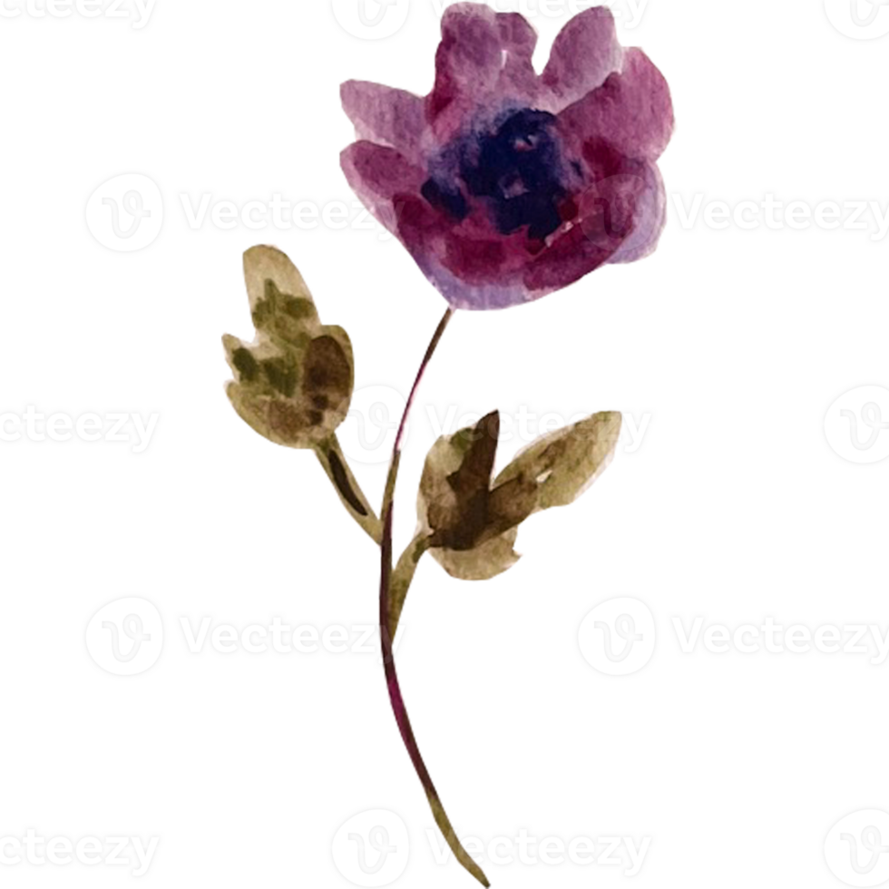 Watercolor abstract flowers. png
