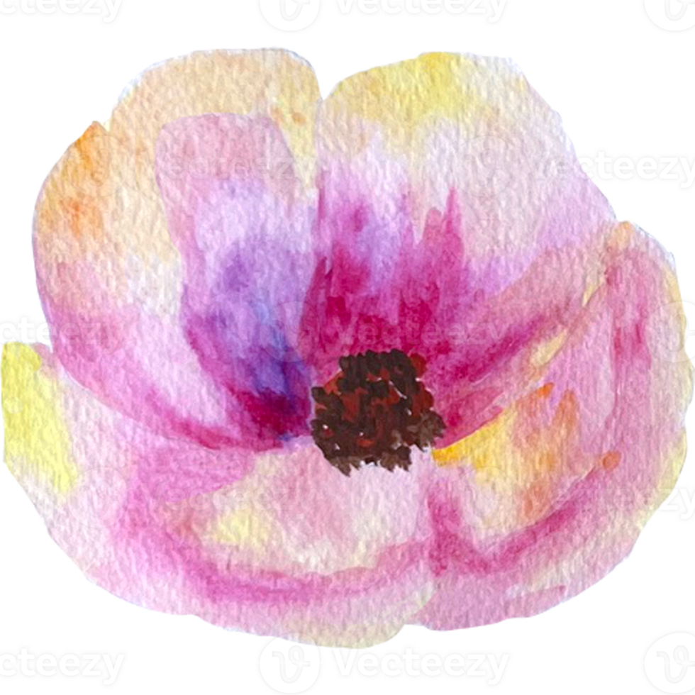 Watercolor abstract flowers. png