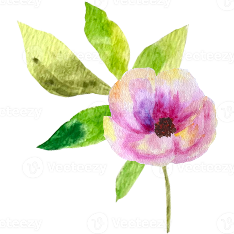 Watercolor abstract bouquets and arrangement. png