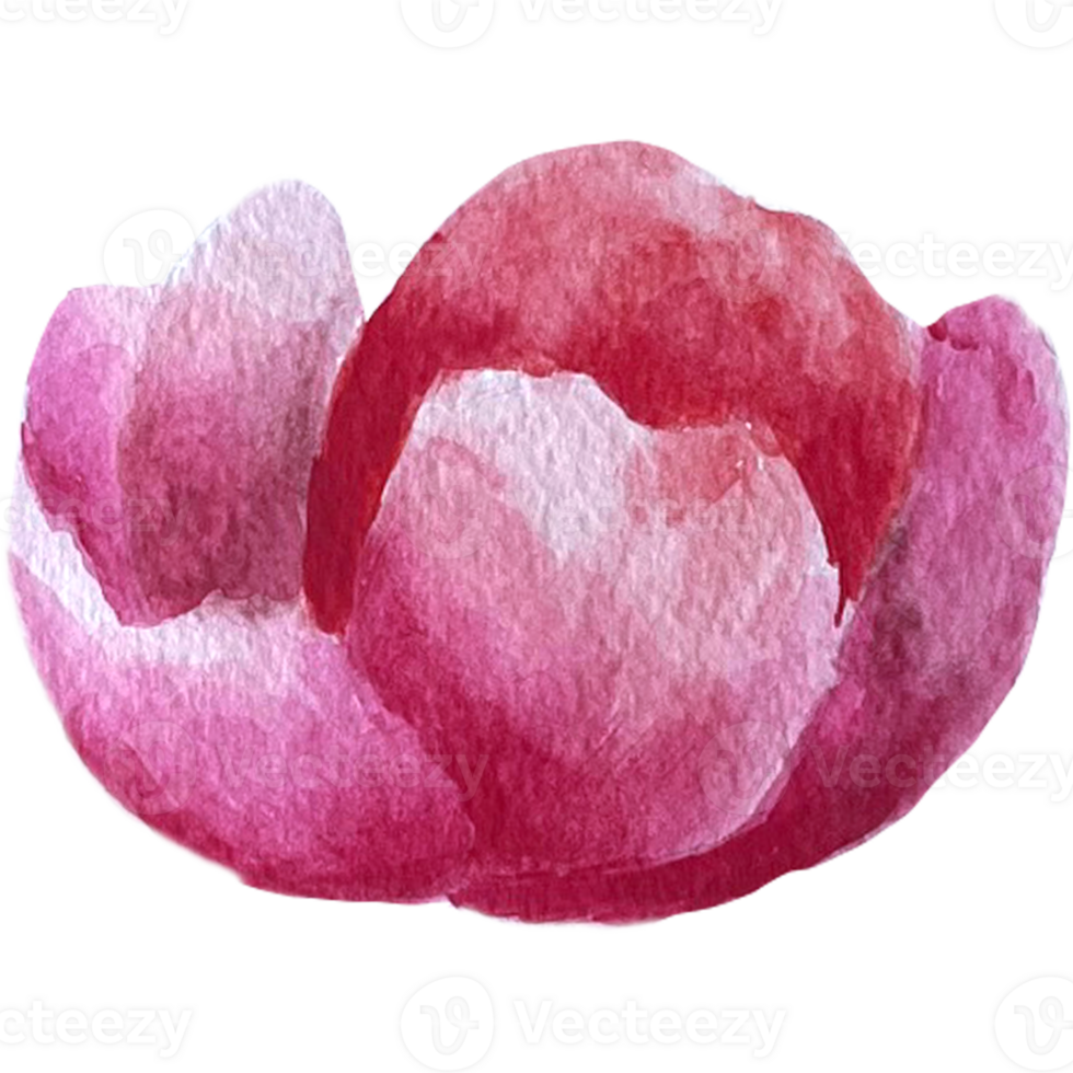 Watercolor abstract flowers. png