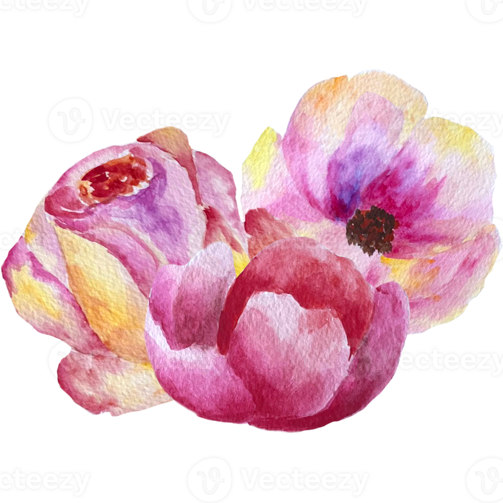 Watercolor abstract bouquets and arrangement. png