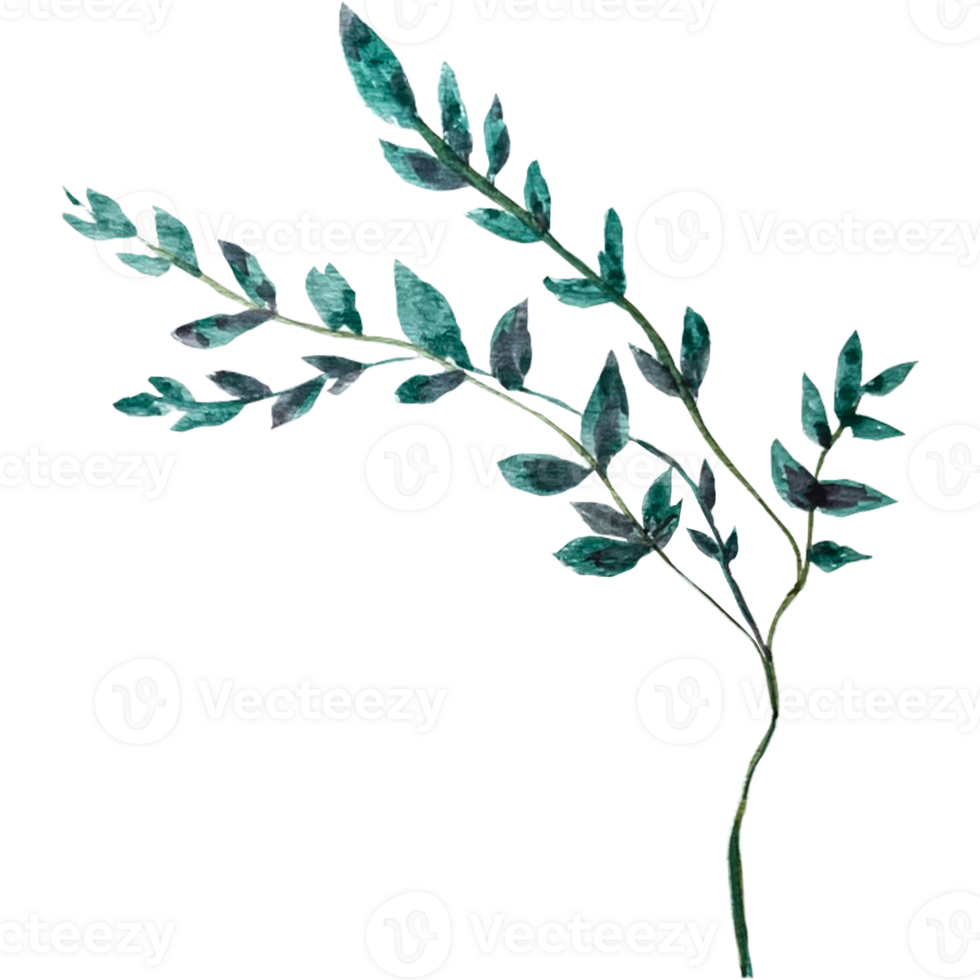 Watercolor abstract flowers. png