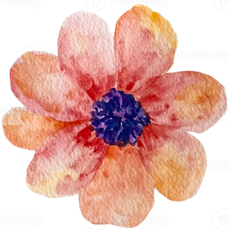 Watercolor abstract flowers. png