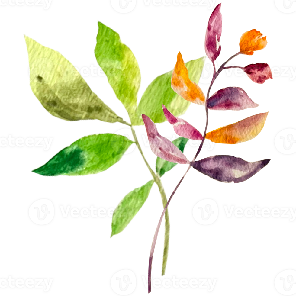 Watercolor abstract bouquets and arrangement. png