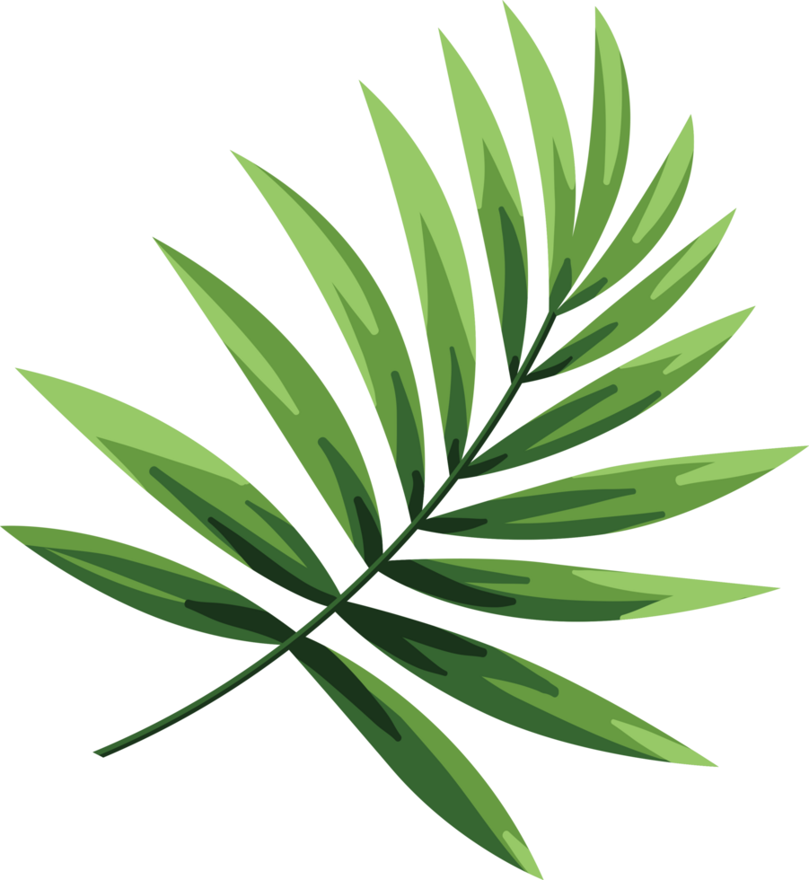 Tropical Flower Watercolor Illustration png