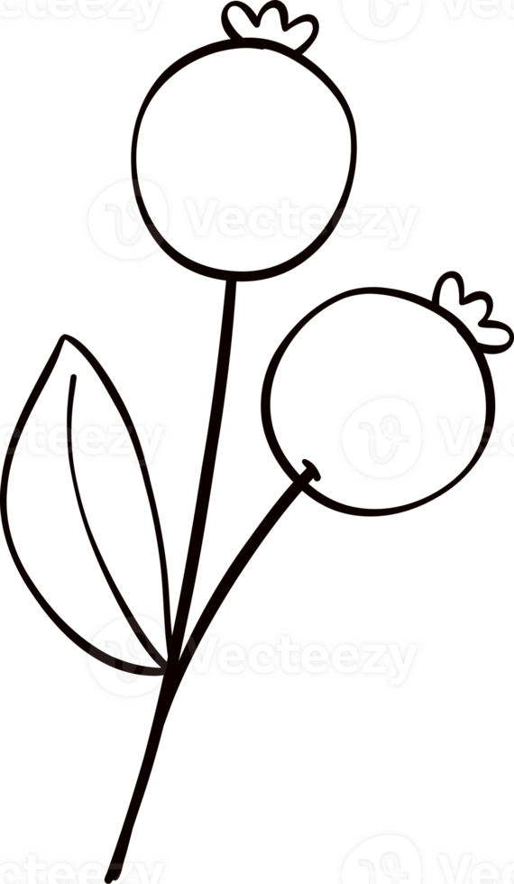 Groovy retro autumn spicy cherries hippie cartoon coloring outline doodle playful and vibrant fall season illustration. png
