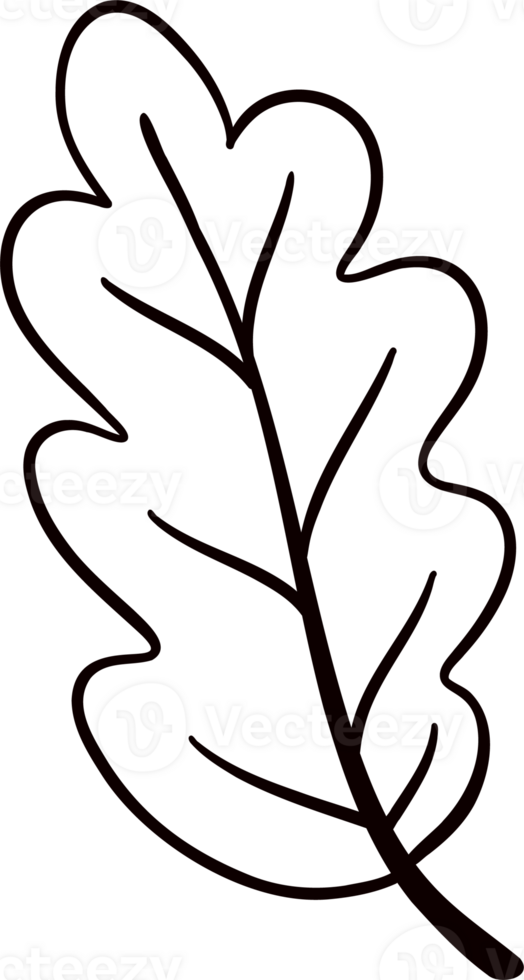 Groovy retro autumn leaf hippie cartoon coloring outline doodle playful and vibrant fall season illustration. png