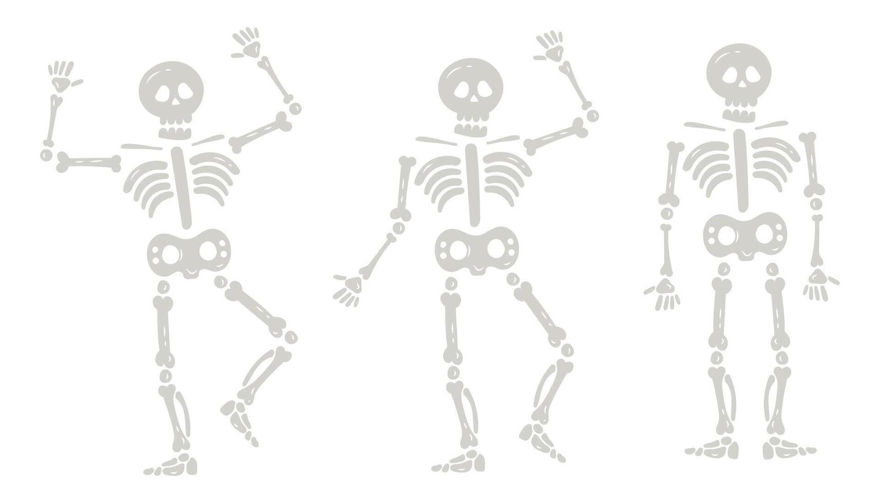 Halloween skeletons in various poses. Creepy Halloween skeleton characters isolated set of illustrations. Skeleton mascots hand drawn style vector
