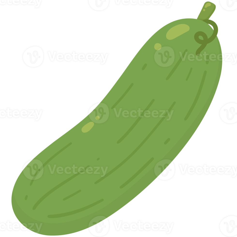 Fresh cucumber veggie png