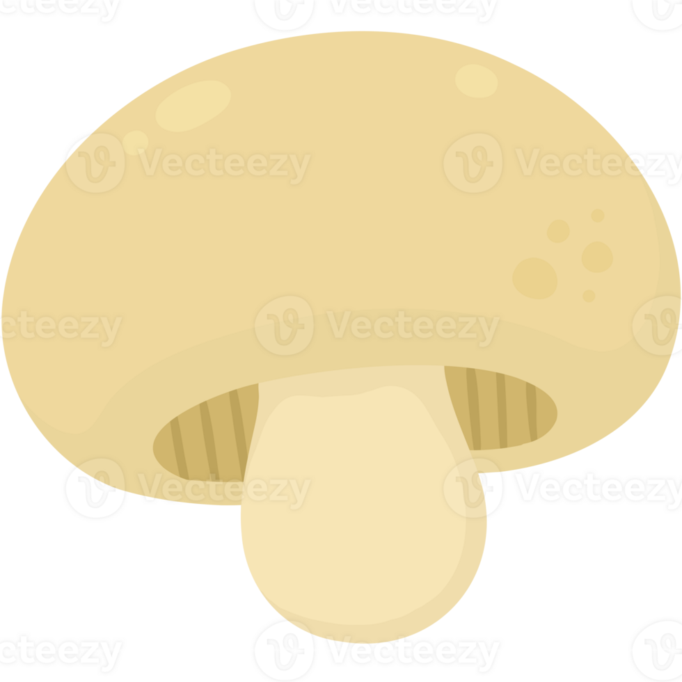 Mushroom veggie cartoon png