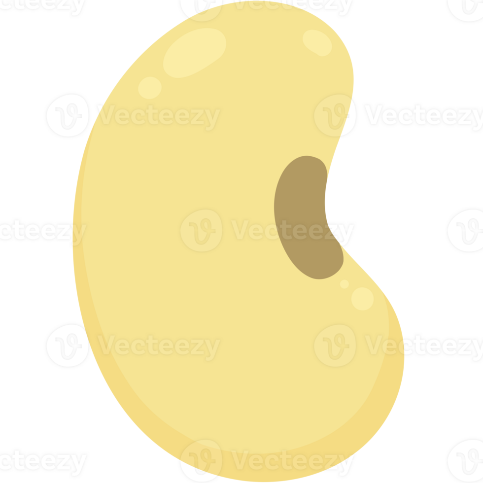 Soybean is bean png