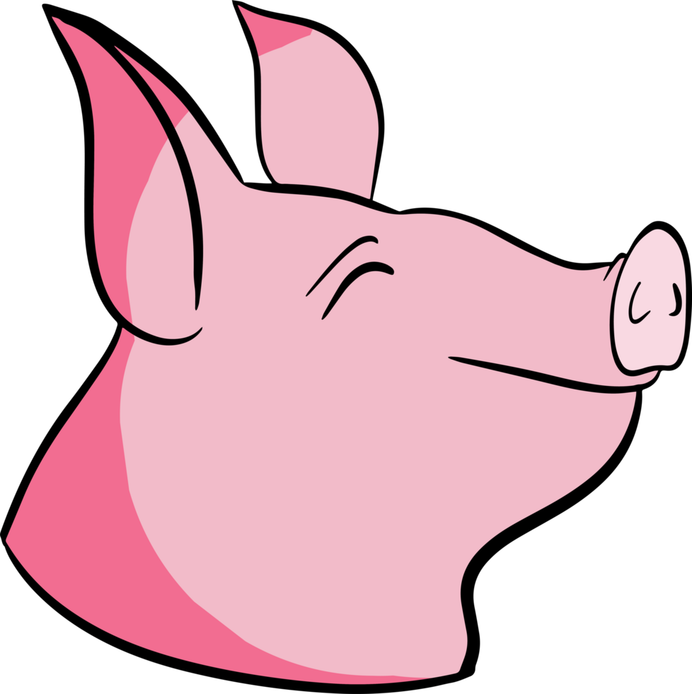 The Pig cartoon style for food or animal concept png