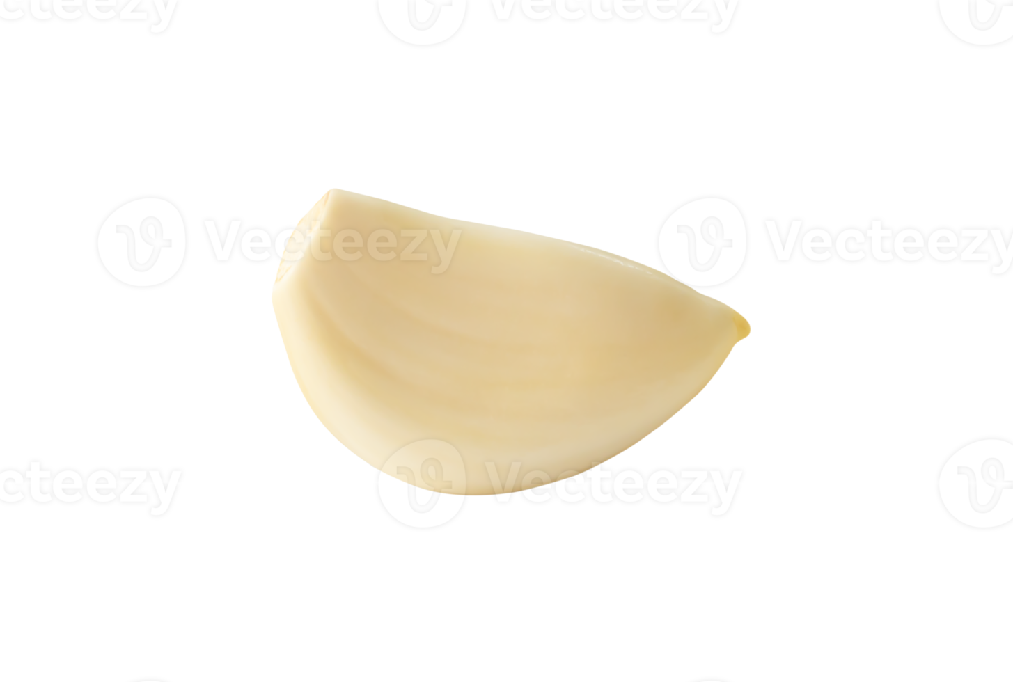Side view of white garlic clove isolated with clipping path in file format png