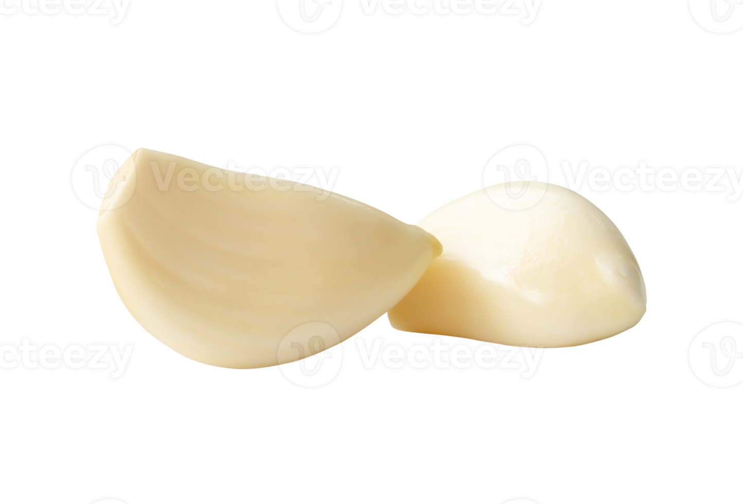 Side view of white garlic clove in stack isolated with clipping path in file format png