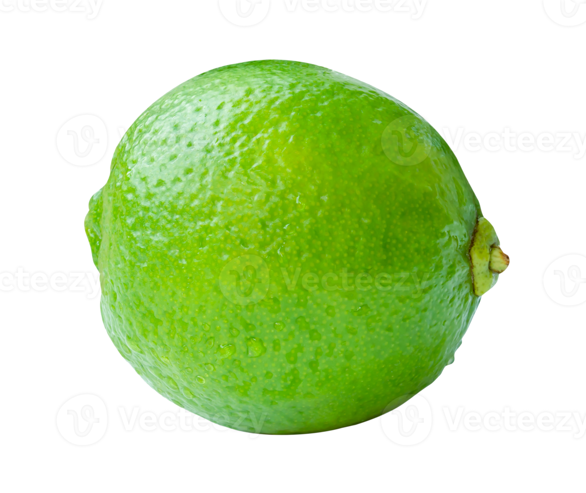 Side view of single fresh green lemon fruit with drops isolated with clipping path in file format png