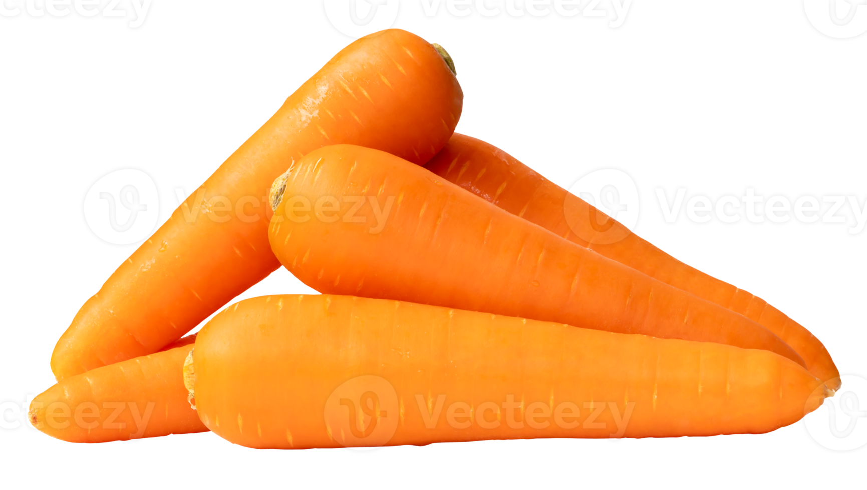 Side view of fresh orange carrots in stack isolated with clipping path in file format png
