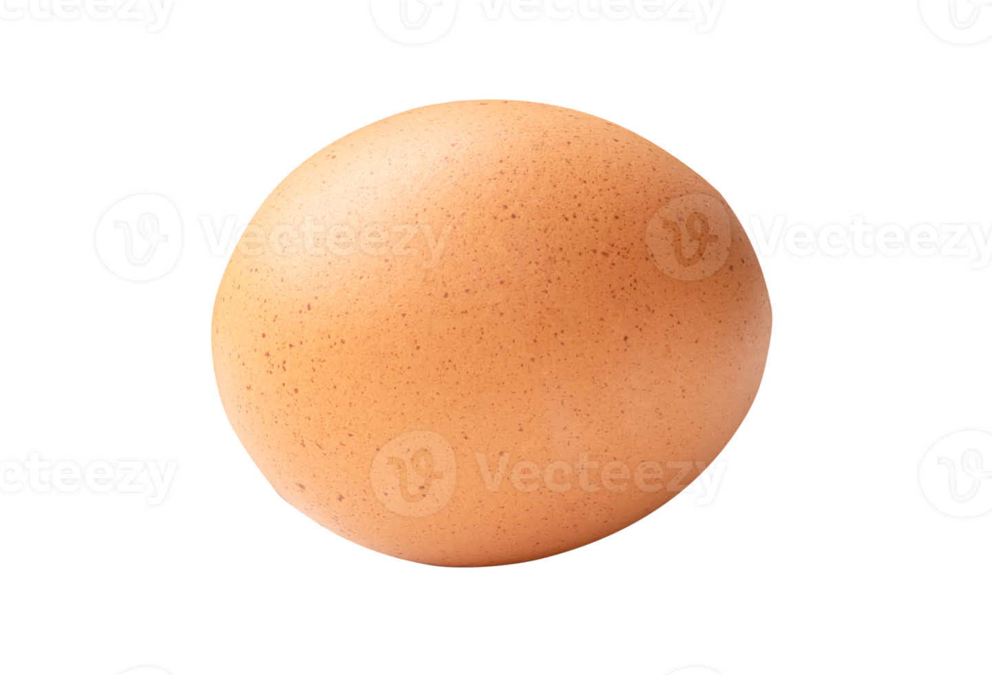 Side view of single brown chicken egg isolated in file format png