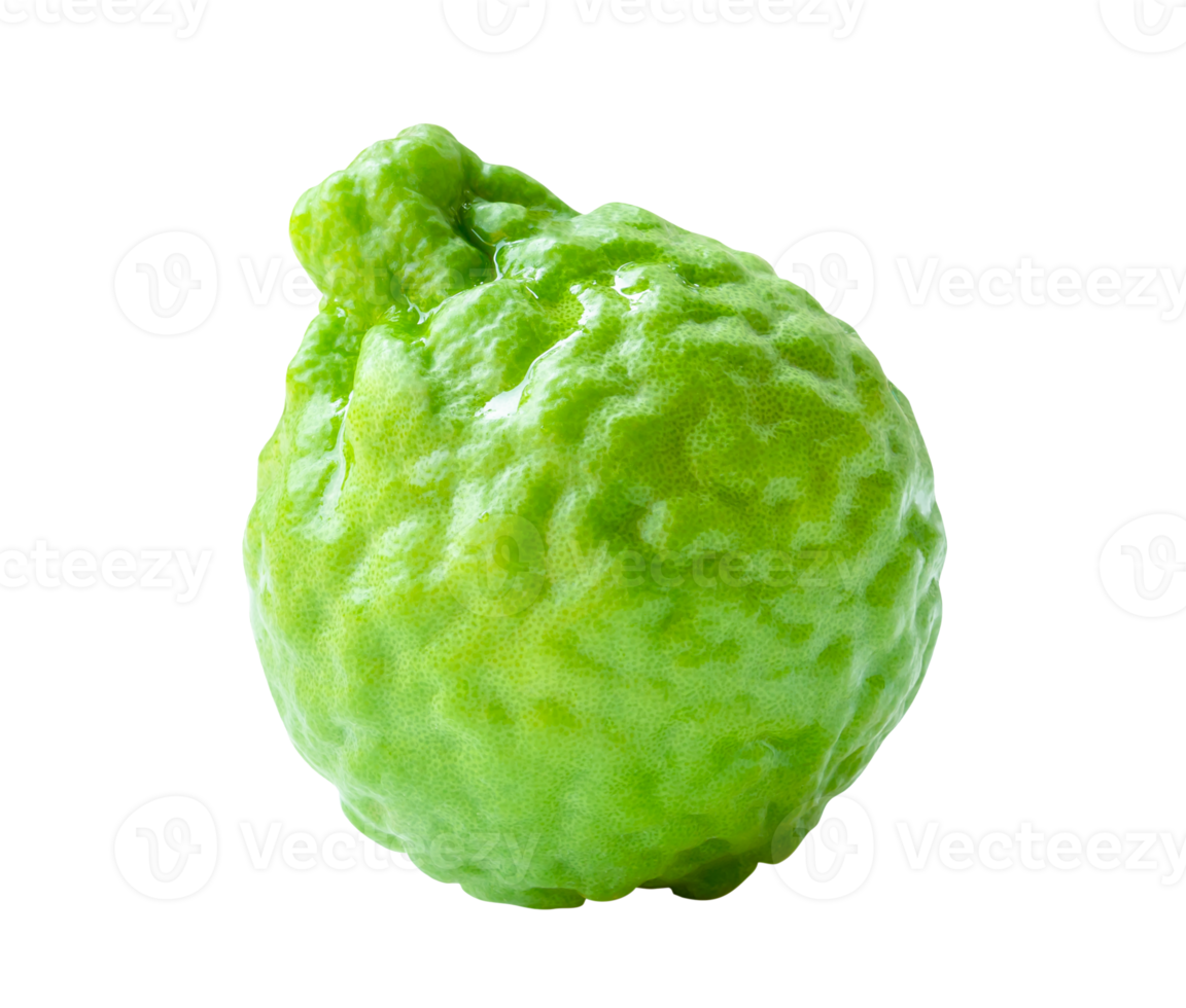 Side view of single fresh green bergamot fruit isolated with clipping path in file format png