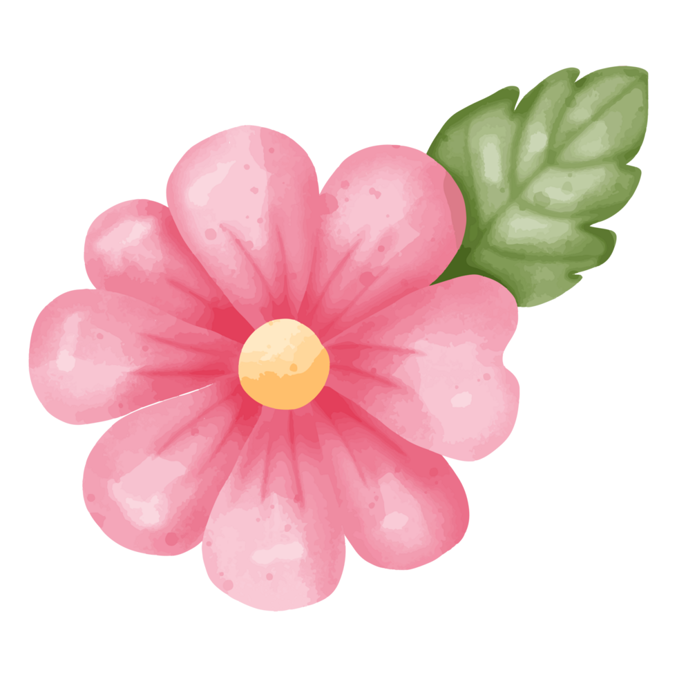 Charming Watercolor Pink Flower with Green Leaf png