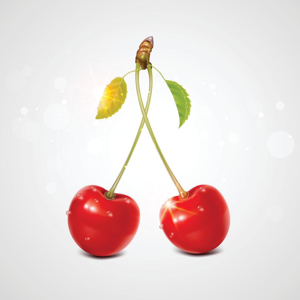 Two Red cherries water drops with a green leaf. a white background. vector