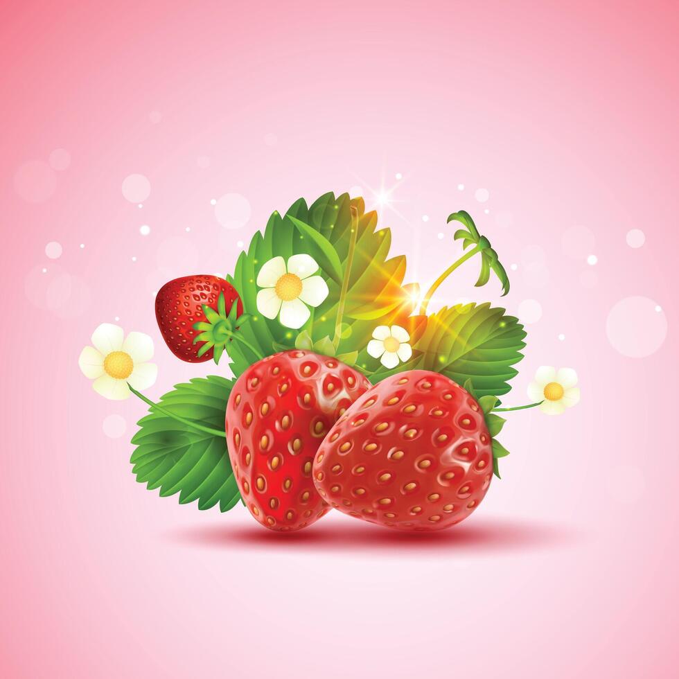 Whole fresh red strawberries and. Red background illustration vector