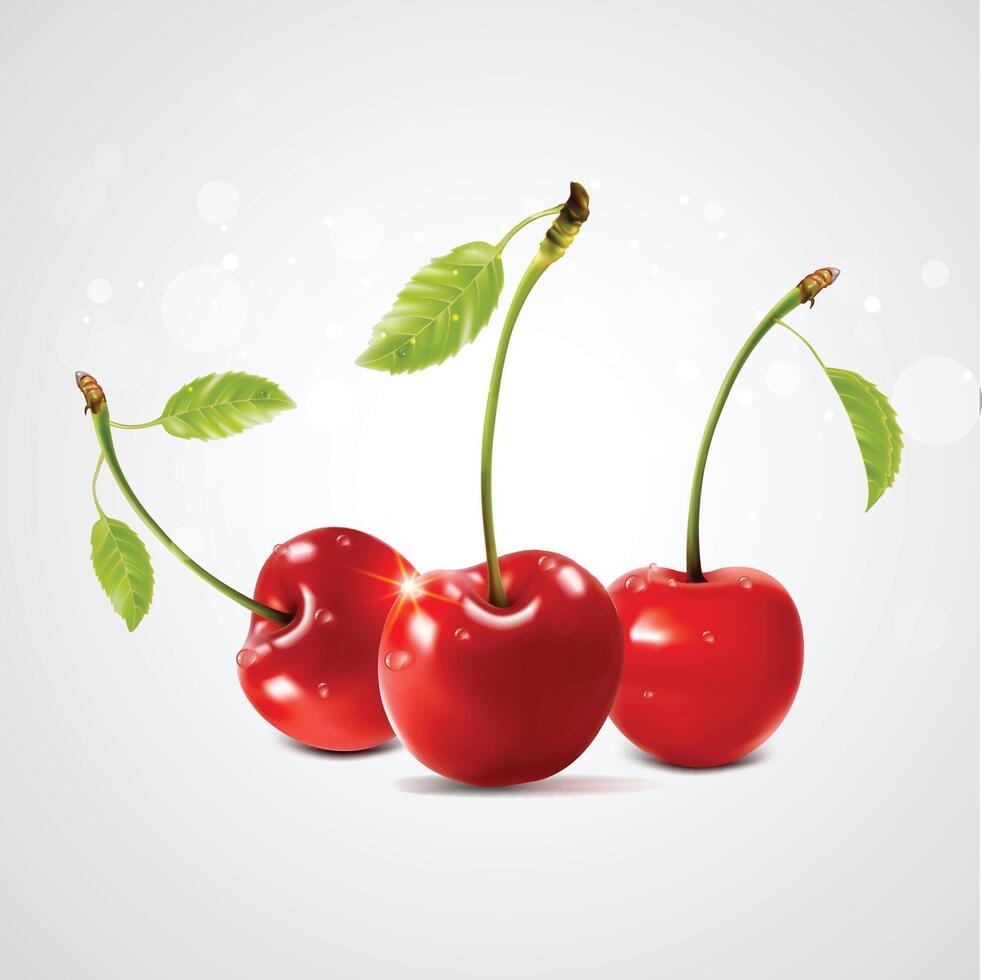 Three red cherries with a green leaf. a white background vector