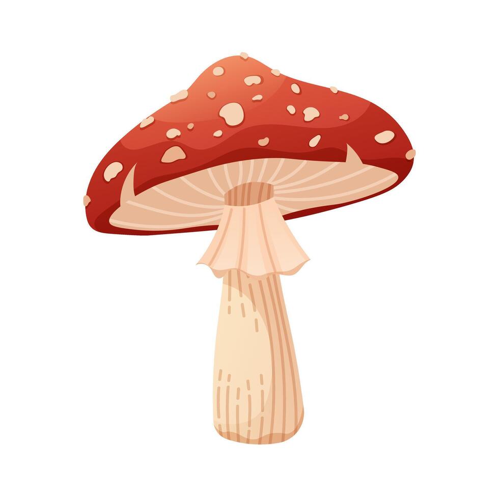 Fly mushroom on white background. Poisonous forest mushroom. icon vector