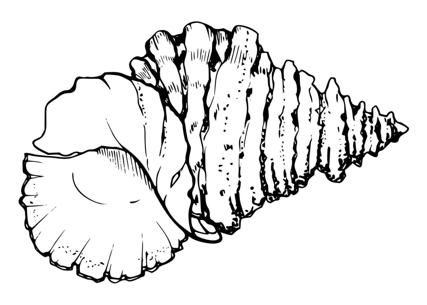 Marine life, sea ocean underwater creatures fish, shells algae seaweed, Ink and pen sketch hand drawn. Single object illustration, stylized, isolated on white. Zoo shop, aquarium, cosmetics, resort vector