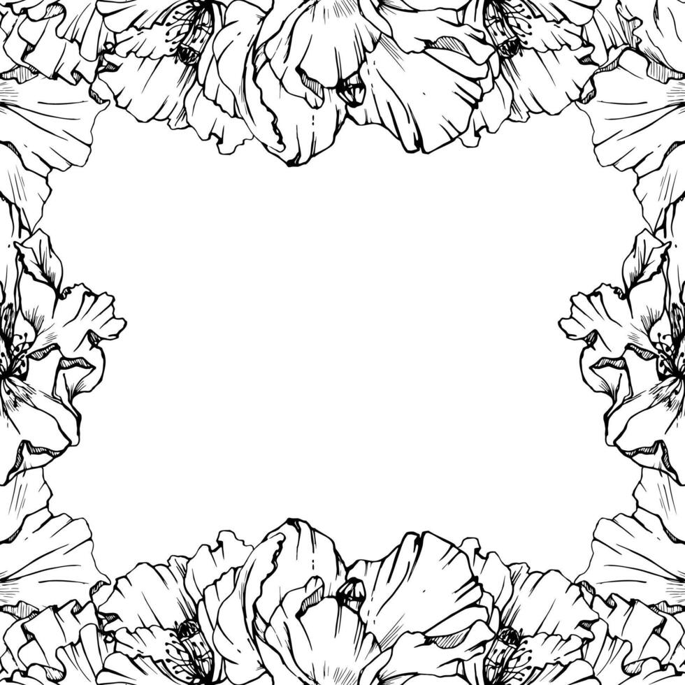 Hand drawn graphic botanical illustration flowers leaves. Red poppy papaver, stems buds seedpods. Border frame isolated on white background. Design wedding, cards, remembrance day stationery. vector