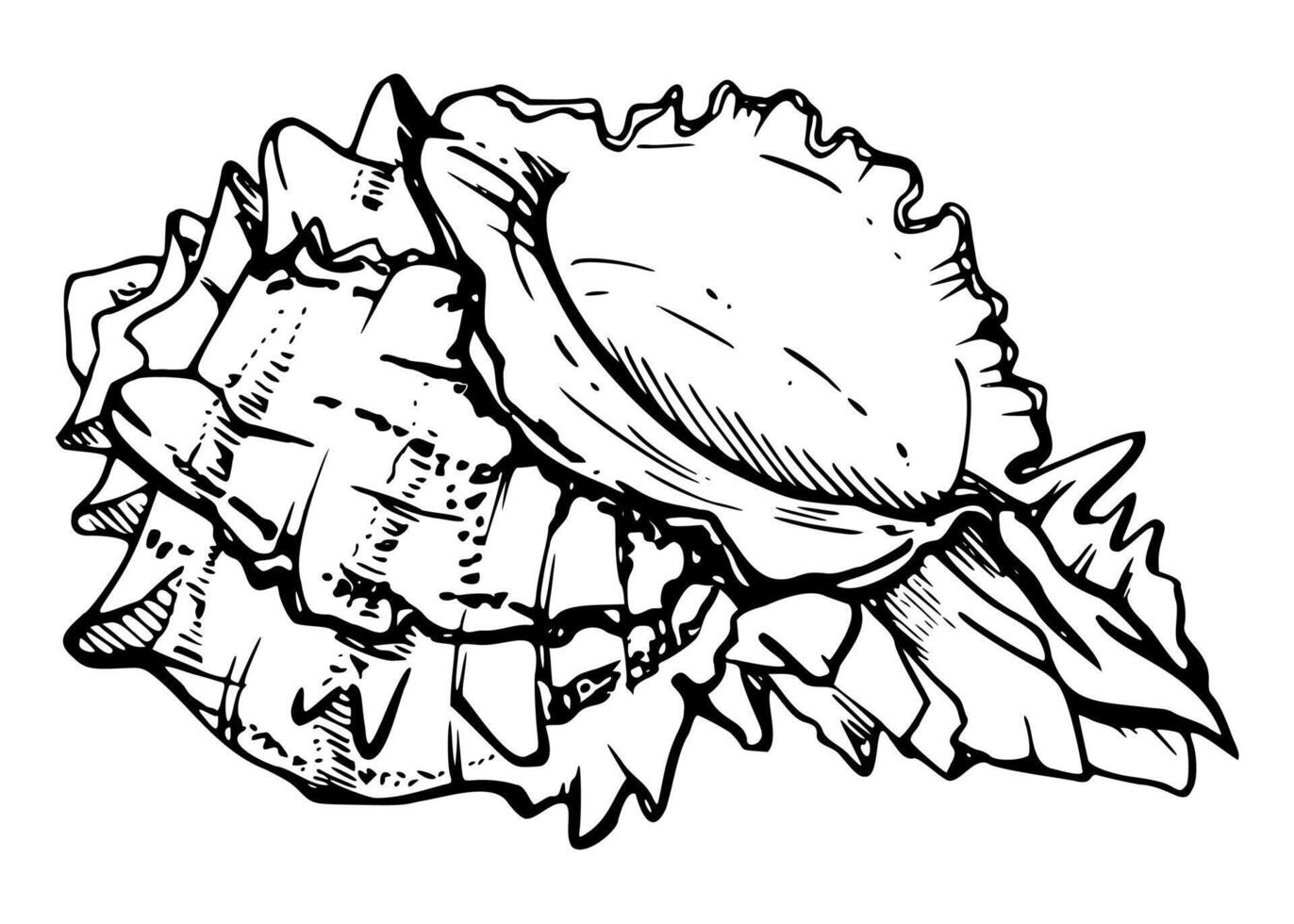 Marine life, sea ocean underwater creatures fish, shells algae seaweed, Ink and pen sketch hand drawn. Single object illustration, stylized, isolated on white. Zoo shop, aquarium, cosmetics, resort vector