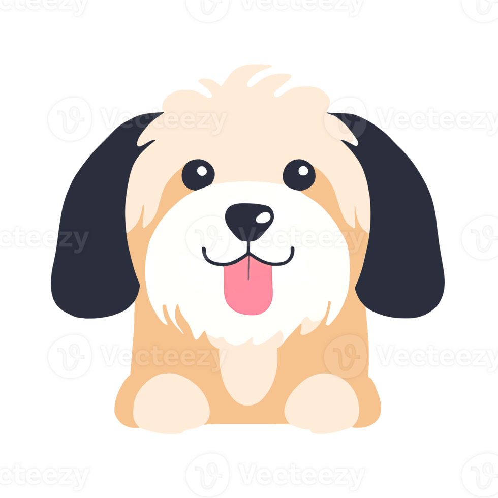 Cute Havanese Dog png
