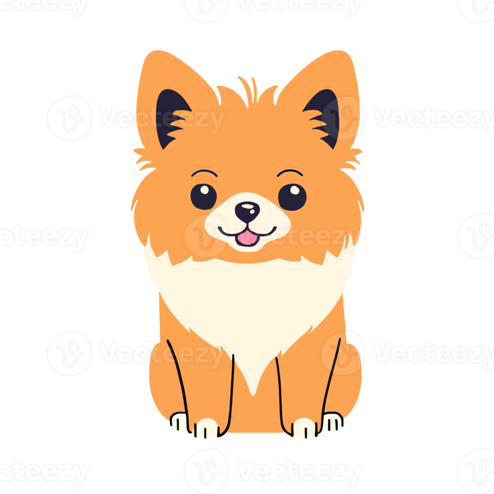 Cute Pomeranian icon png