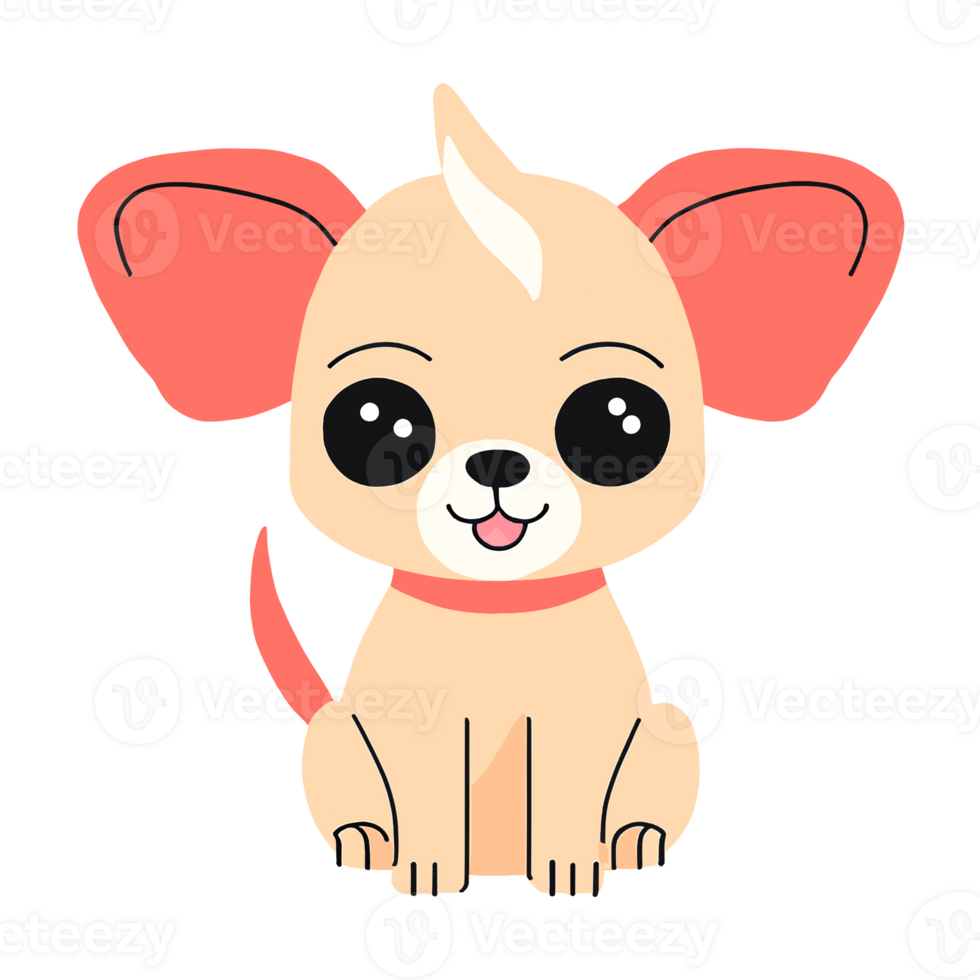 Cute Chihuahua Dog png