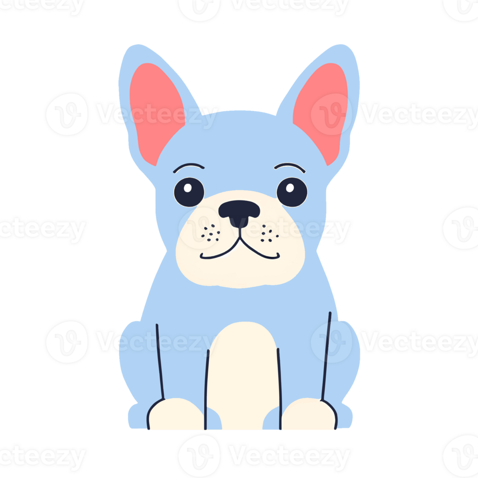 Cute French Bulldog png