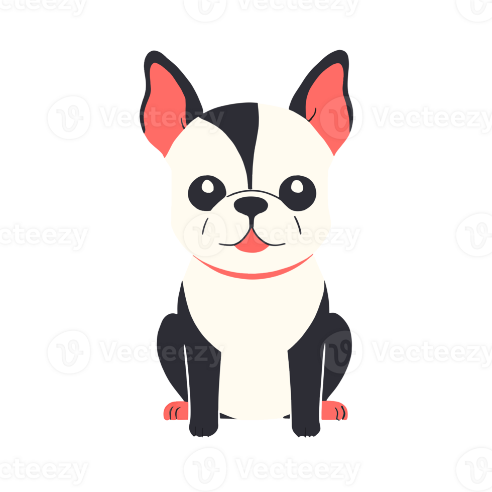 Boston Terrier icon png