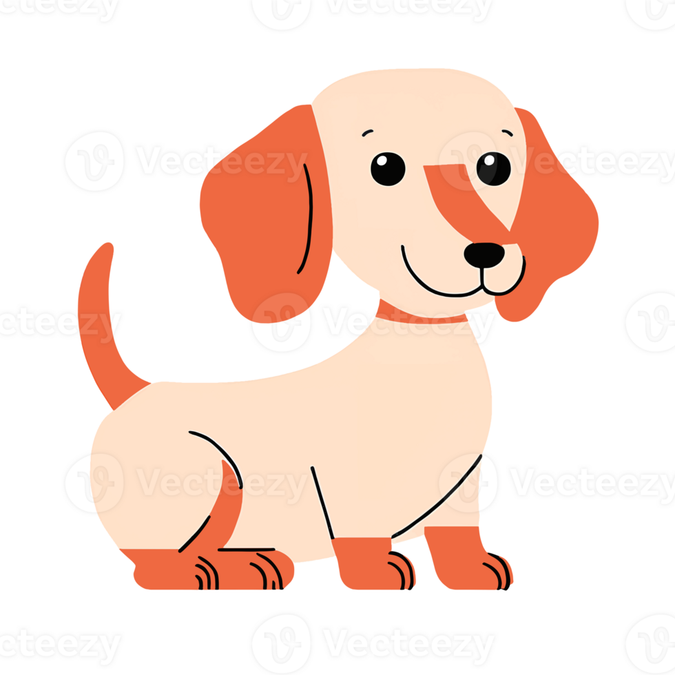 Cute Dachshund Dog png