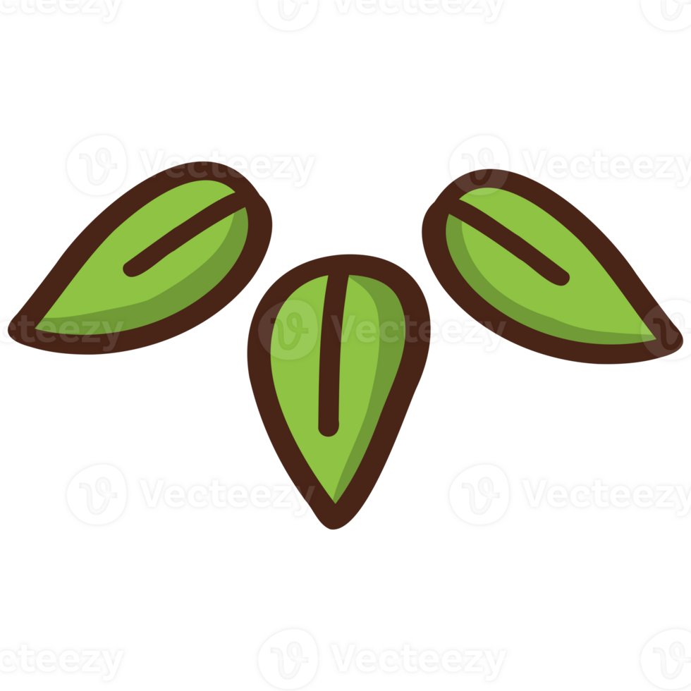 Decorative hand drawn cute leaf png